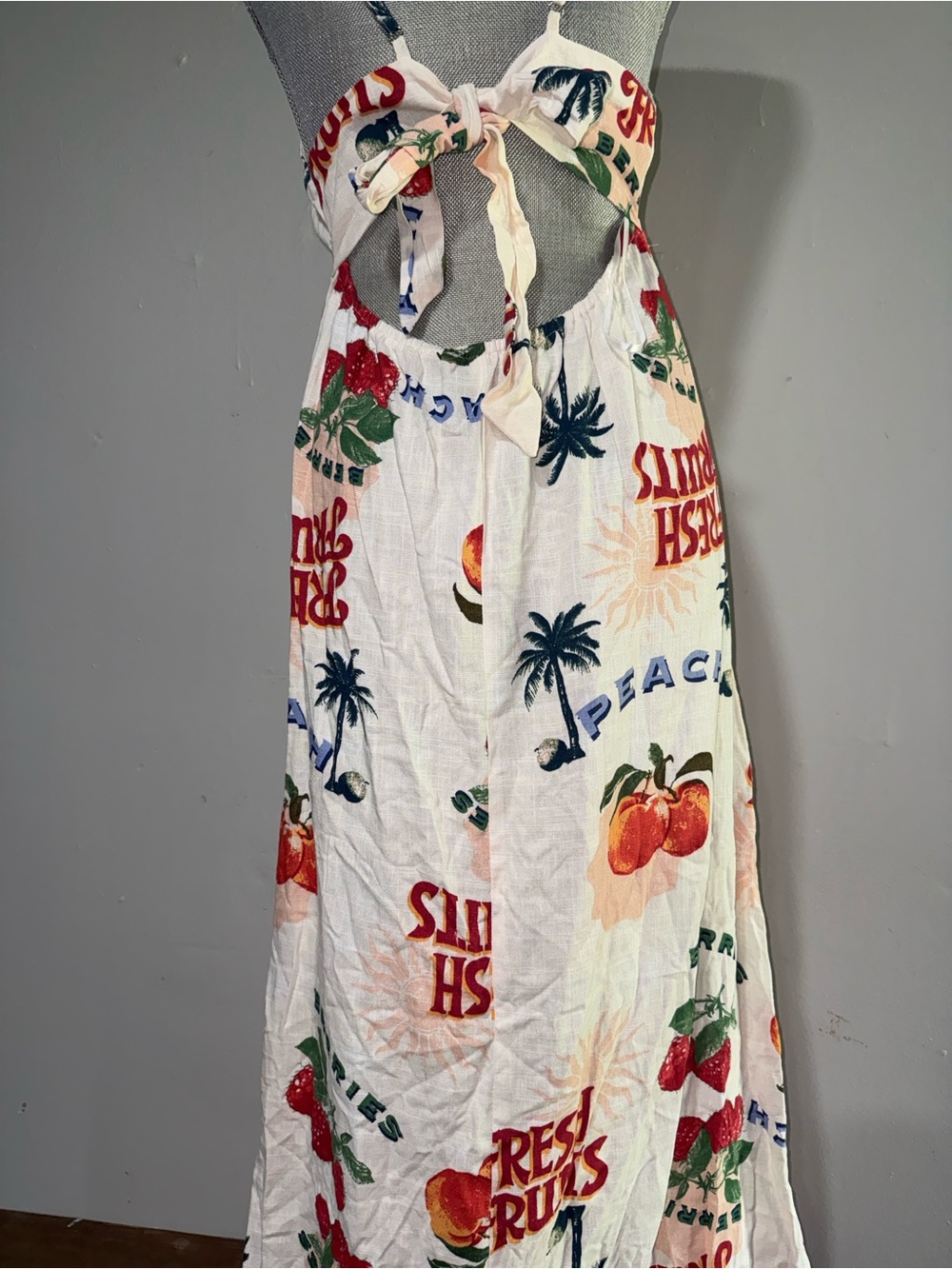 Paper Heart By Anthropologie dress Fruit Print Spaghetti Strap Maxi Dress - Picture 5 of 8